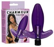     CHARMEUR