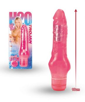   H2O WET  TROJAN